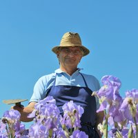 Mag. Mag. Friedrich Zottl im Garten mit Blumen im Vordergrund