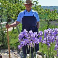 Mag. Mag. Friedrich Zottl im Garten mit Blumen im Vordergrund