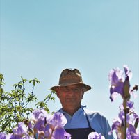 Mag. Mag. Friedrich Zottl im Garten mit Blumen im Vordergrund